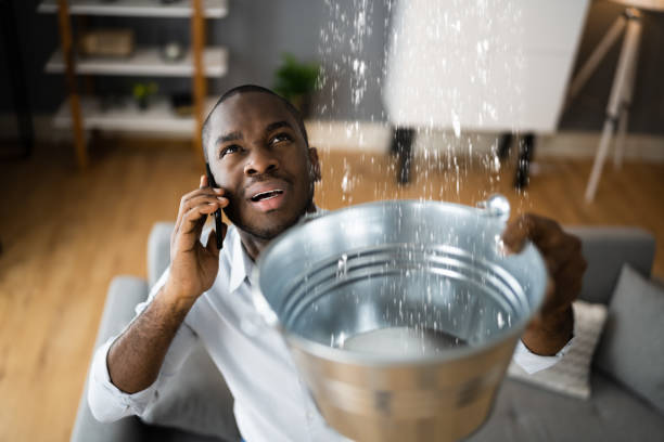 Best 24/7 water damage repair  in Cody, WY