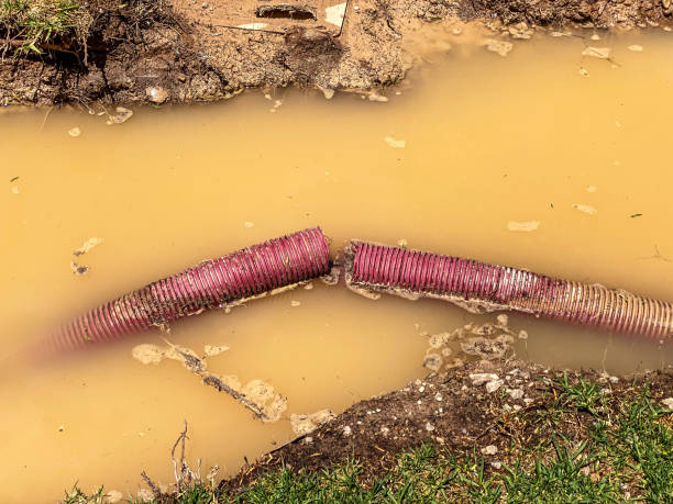 Best Local water damage restoration  in Cody, WY