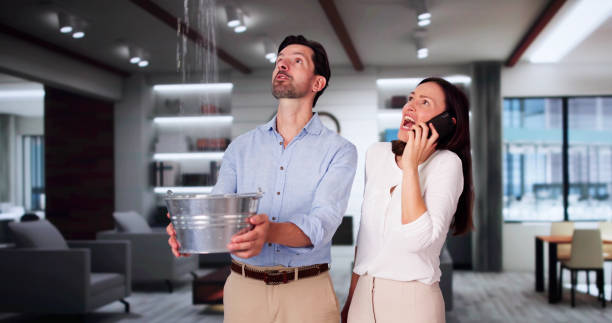 Best Mold removal after water damage  in Cody, WY